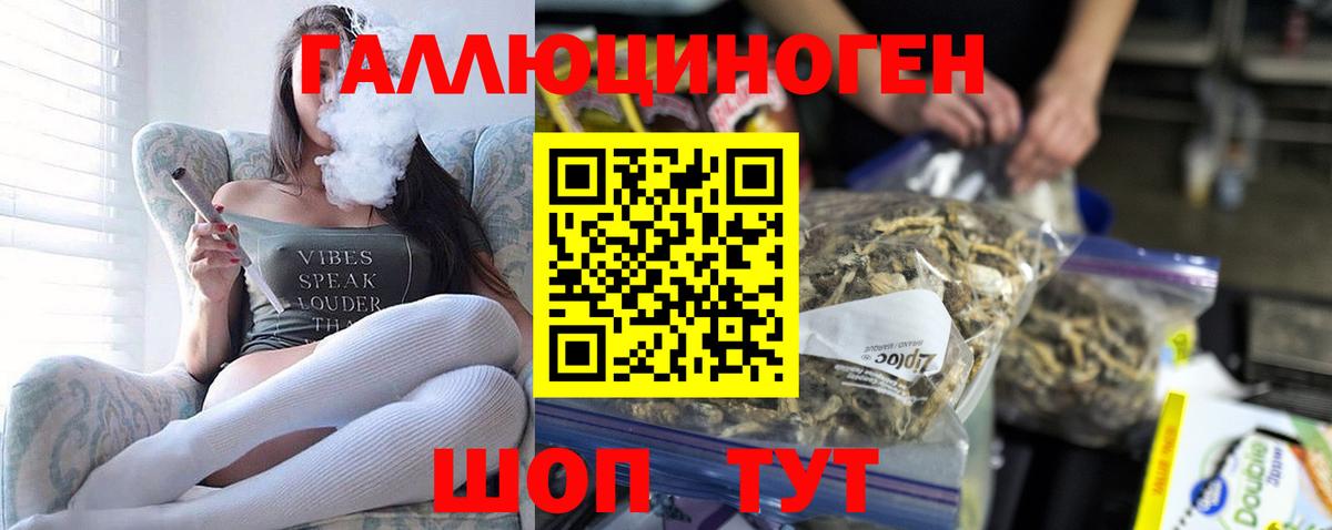 Галлюциногенные грибы GOLDEN TEACHER  Галлюциногенные грибы GOLDEN TEACHER  Прокопьевск  хочу наркоту  Вход с VPN 