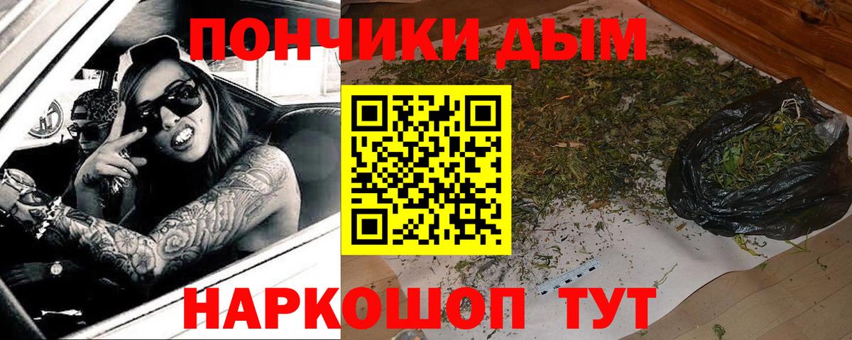 Канабис план Прокопьевск